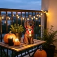 thumbnail image 2 of Lighted Halloween Large Labrador Statue, 8inch, Entrance Decor, Cute Tabletop Ornament for Pet Lovers, Halloween Decoration Indoor, 2 of 7