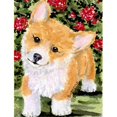 thumbnail image 1 of Carolines Treasures SS8823GF 11 x 15 In. Corgi Flag- Garden Size, 1 of 3