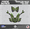 Green, variant on Kalair GFX Graphics Kit for Honda TRX 300EX MAIER PLASTICS (1993-2006) Prime Series