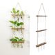 thumbnail image 5 of Maceta de vidrio moderna con flores en forma de capullo sobre estante de madera para colgar en la pared. Madera Rústica 3capas, 5 of 9