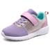 Pink/Purple