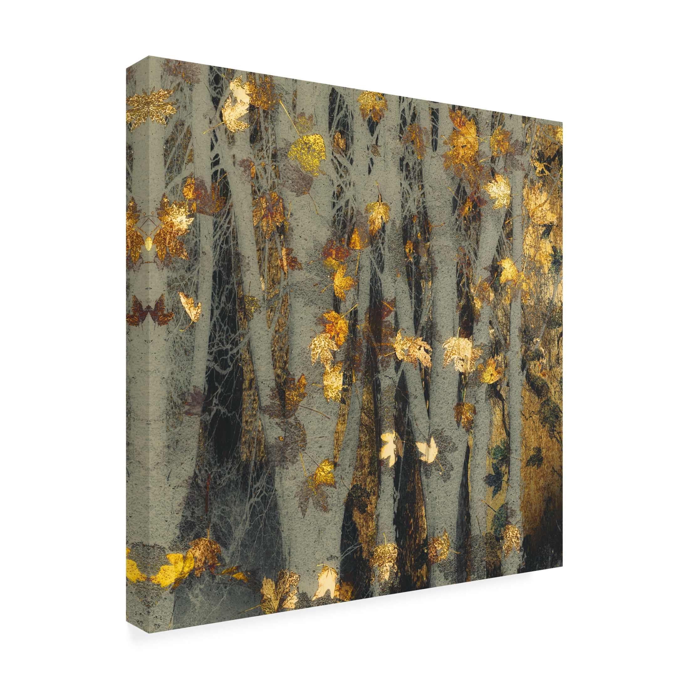 Trademark Fine Art Nel Talen Gold Leaf Canvas Wall Art