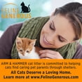 ARM & HAMMER Clump & Seal SLIDE Cat Litter, Easy Cleanup MultiCat