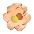 thumbnail image 1 of Jarrón de flores de vidrio, maceta de almacenamiento, decoración, maceta hidropónica para plantas Café ligero, 1 of 9