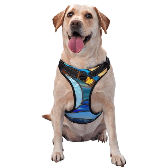 Fotbe Stained Glass Ocean Wave Arnés para Perro con Estampado –Chaleco Ajustable Acolchado con Asa de Control para Perros Grandes-Small