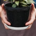 thumbnail image 2 of Bevel Edge Wear-resistant Non-permeable  Flower Pot Tray Planting Tool, 2 of 6