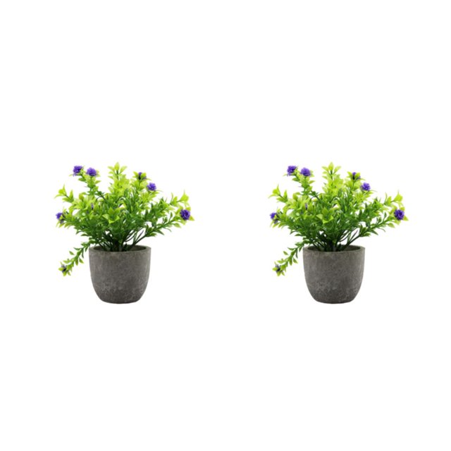 kurtrusly Realistic Artificial Succulent Low Maintenance Elegant Easy To Clean Artificial Money Tree In Pot purple babysbreath 2Set