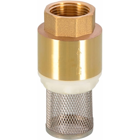 RVKXHD New 1" DN25 Female Thread Bottom Valve, Brass one-Way Check Valve, Water Pump Foot Valve with Filter 1PCS