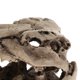 thumbnail image 3 of Cueva de Escondite de con Dinosaurio, , Y de Acuario Sunnimix Adorno de dinosaurio de acuario, 3 of 8