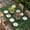 Green, variant on Dark Green Gold Floral Table Cloths for 6 Foot Rectangle Tables, Modern Abstract Art Spring Flowers Patio Waterproof Elastic Fitted Tablecloths, Washable Rectangular Table Cover for Camping
