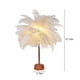 thumbnail image 3 of Lámpara de mesa con plumas | Luz nocturna LED con pilas y alimentación por USB | Lámpara de noche portátil para dormitorio, sala de estar, bodas, fiestas o decoración navideña, 3 of 8