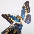 thumbnail image 5 of 3D Metal Puzzle Butterfly Music Box - 300 Pieces Steampunk Mechanical Insect Model Kit for Adults & Teens, 5 of 8
