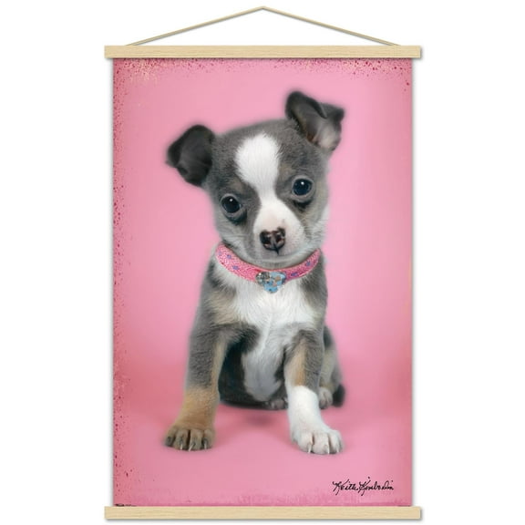 Keith Kimberlin - Puppy on Pink Background Wall Poster with Wooden Magnetic Frame, 22.375" x 34"