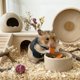 thumbnail image 2 of Chaleco suave para hámsters. Arnés para animales pequeños, transpirable, para hámsters enanos, jerbos y ratones, 2 of 2