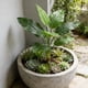 thumbnail image 5 of Decoración artificial de hoja de plátano, monstera y planta de filodendro para patio interior, salón y tapices de pared, adorno de plástico plástico verde de 31 pulgadas con hoja falsa, 5 of 6