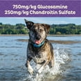 thumbnail image 3 of Wellness Old Mother Hubbard Mother's Solutions Hip & Joint Natural Biscuits Dog Treats, 20 oz bag, 3 of 8