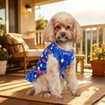 thumbnail image 5 of erdimoy Patriotic 4th of July Dog Dress, Red White Blue Star & Stripes Pet Outfit with Leash Ring for Small Dogs (Chihuahua, Yorkie, Teddy), 5 of 6