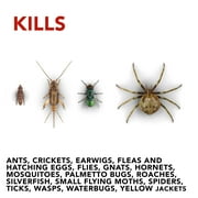 Raid Flea Flogger Plus Insect Killer, Kills Fleas and Hatching Eggs - 3 Foggers