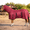 Brick Red, variant on Resistance Horse Fly Sheet with Neck Cover and Belly Wrap, Mesh, UV Protection, Silver, Sizes 68 in–82 in