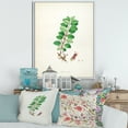 thumbnail image 2 of Designart 'Ancient Plant Life XVII' Farmhouse Framed Canvas Wall Art Print, 2 of 5