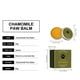 thumbnail image 4 of Pisexur Suministros para mascotas Paw Cream For Cats And Dogs Pet Foot Moisturizing Care To Dry Cracked Softened Paw Cream perros, gatos y animales.perros, gatos y animales, 4 of 9