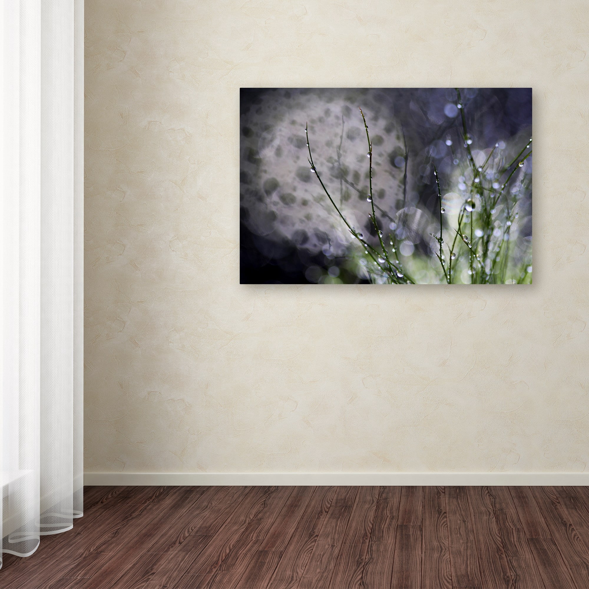 Trademark Fine Art "Morning Tale" Canvas Art by Beata Czyzowska Young