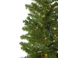 thumbnail image 5 of Northlight 6.5' Pre-Lit Canadian Pine Artificial Pencil Christmas Tree - Multi Lights, 5 of 7