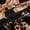 Black Brown, variant on Feelyou Chic Princess Bowknot Black Out Curtains, Fashion Cheetah Leopard Print Curtains Pack of 2 (42x63 Each), Ribbon Bow Theme Bedroom Curtains, Living Room Curtains Decor