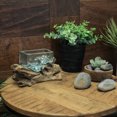thumbnail image 2 of Rectangular Glass On Driftwood Decorative Bowl/Vase/Terrarium Succulent Planter, 2 of 5