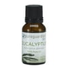 PureGuardian SPAESI5PE Concentrated Eucalyptus Aroma Oil, 15 ml