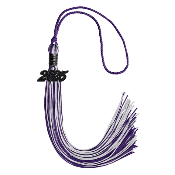 Endea Graduation Purple/Silver Mixed Color Graduation Tassel with Black Date Drop