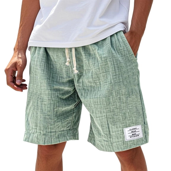 Mens Casual Shorts Elastic Waist Drawstring Summer Beach Shorts Light Green 2XL