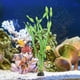 thumbnail image 3 of 10 plantas de acuario artificiales de plástico, algas marinas, plantas para pecera., 3 of 3