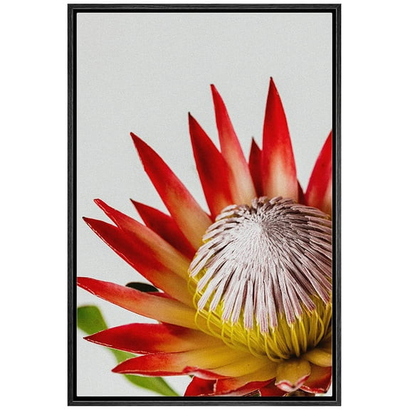 wall26 Framed Canvas Print Wall Art Close Up Bright Red Flowering Desert Cactus Nature Wilderness Photography Realism Floral Botanical Multicolor for Living Room, Bedroom, Office - 24"x36"