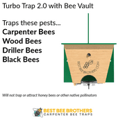 Best Bee Turbo Trap 2.0 with Bee Vault for Catching Carpenter Bees by Best Bee Brothers