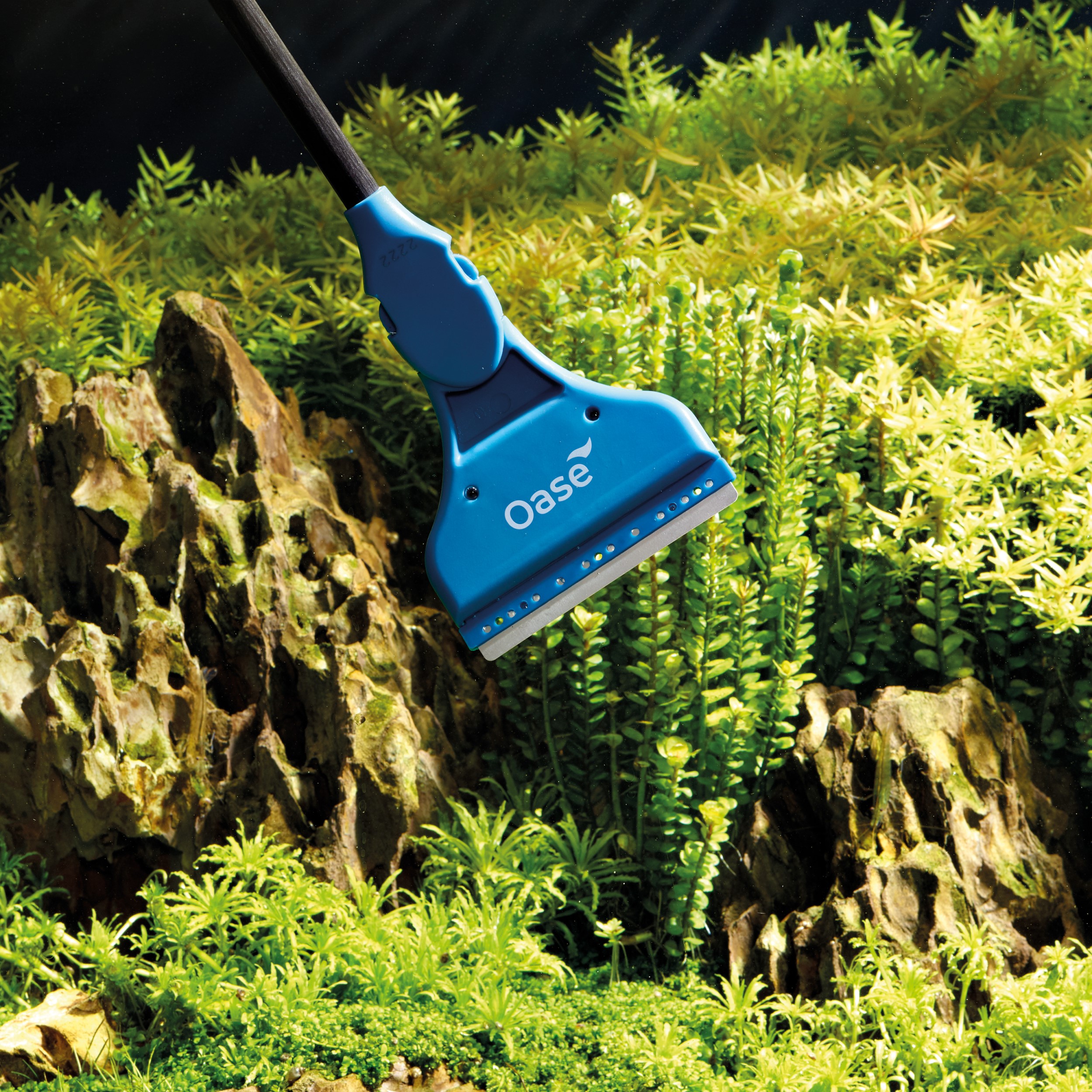 OASE Aquarium Glass Cleaning Tool - Blue