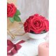 thumbnail image 3 of 25Pcs Red Artificial Roses With Stems, Red Rose Fake Flower Wedding Bouquet Real Touch PE Roses Artificial Flower Stems For Bride DIY Bouquet Wedding, 3 of 5