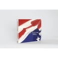 thumbnail image 1 of For Which it Stands: The American Flag in Contemporary Art (Hardcover) by Carla Sakamoto, 1 of 1
