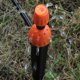 thumbnail image 3 of 50 emisores de goteo para tubería de riego por goteo, goteros de flujo de agua ajustables de 360 ​​grados en estaca de flecha de 7 pulgadas, goteros de riego de jardín para (4-7 mm), 3 of 5