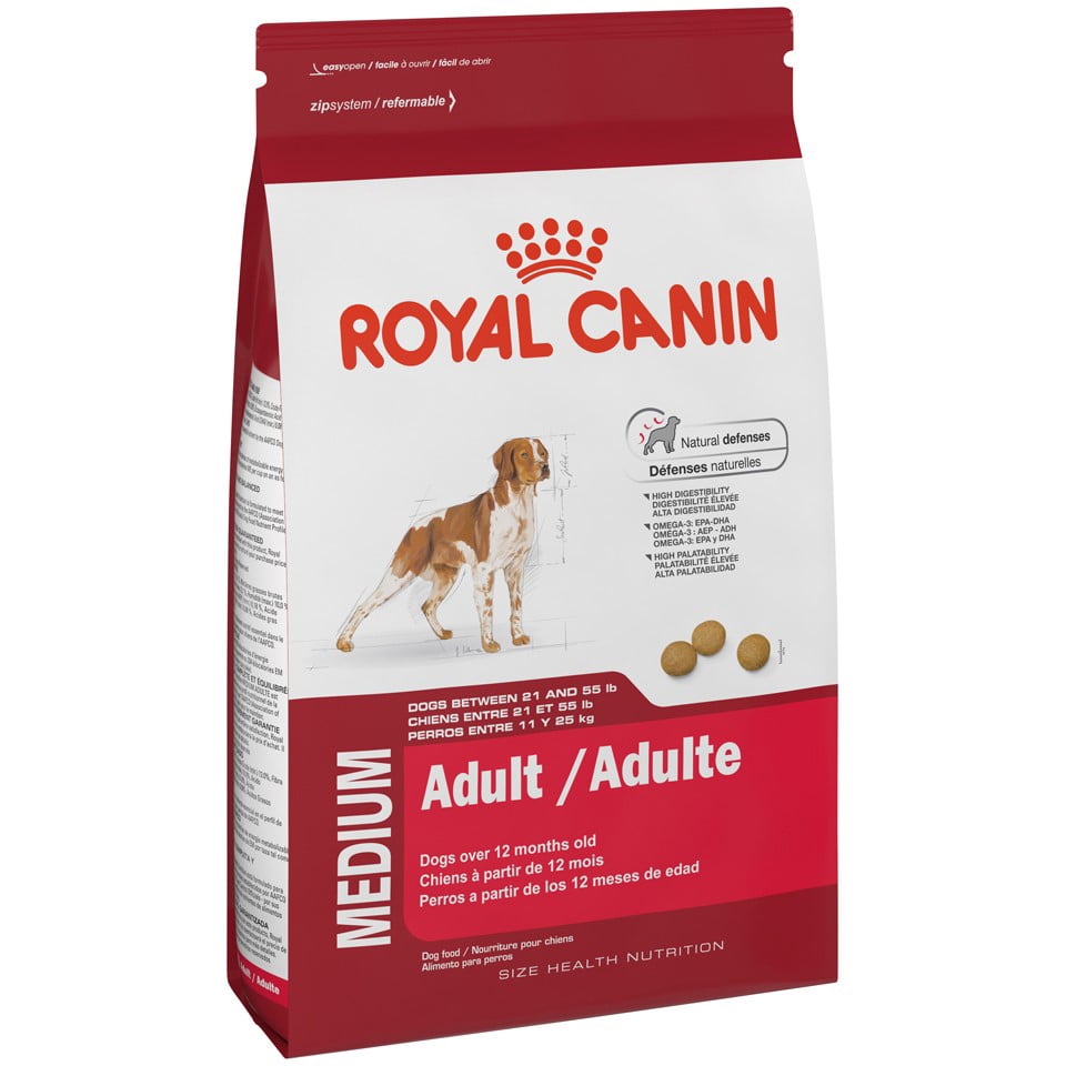 ik ontbijt Vertrek naar Demonstreer Royal Canin Medium Breed Adult Dry Dog Food, 6 lb - Walmart.com