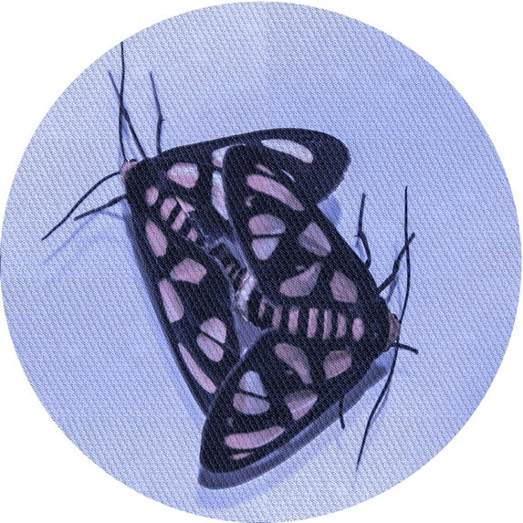 Ahgly Company Machine Washable Indoor Square Transitional Slate Blue Area Rugs, 3' Square