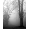 thumbnail image 2 of Bell, Nicholas 26x32 Black Ornate Wood Framed with Double Matting Museum Art Print Titled - November Fog, 2 of 4