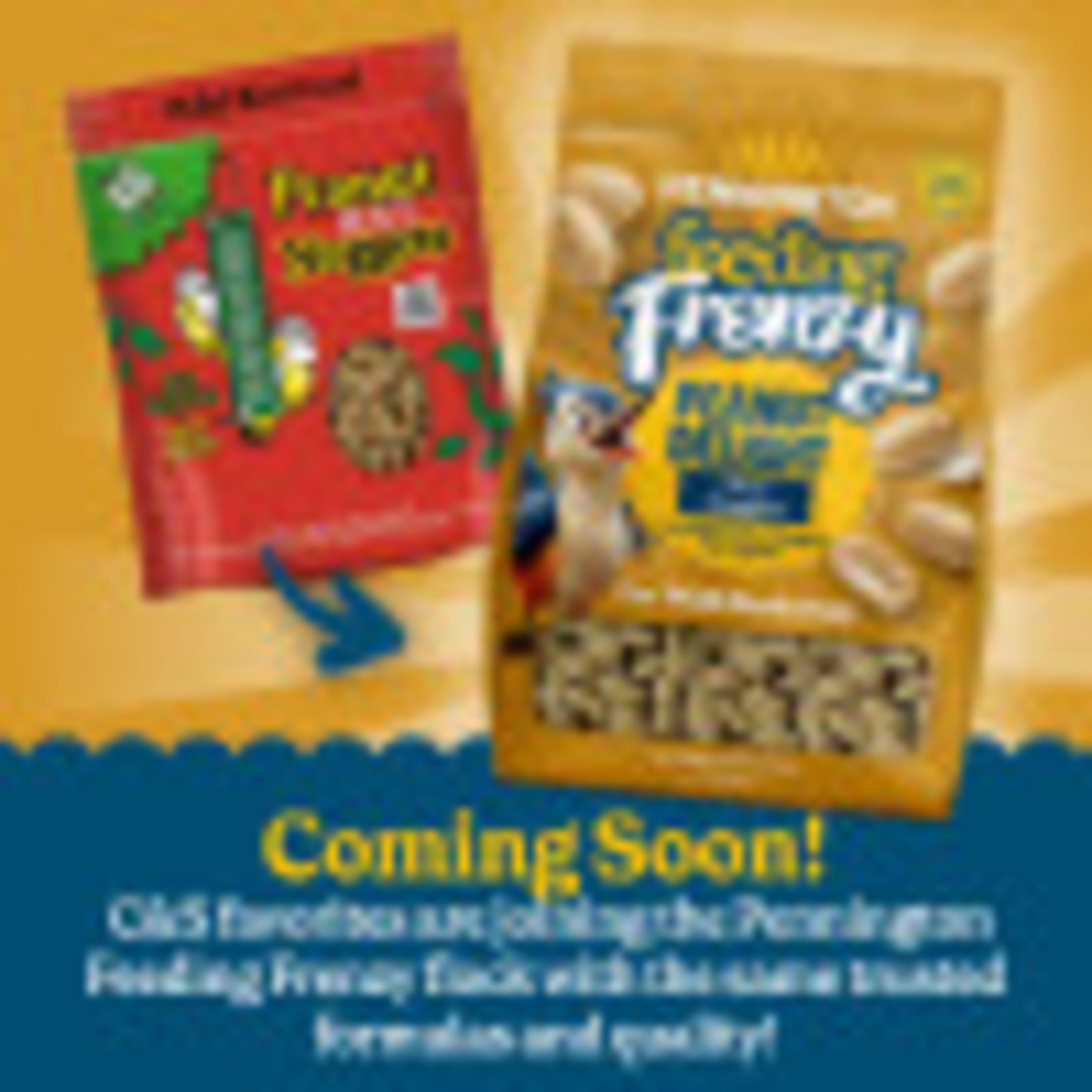 (2 pack) C & S Products Peanut No-Melt Suet Nuggets, 27 oz, Wild Bird Food, Fresh, 1 Pack