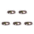 thumbnail image 1 of Cubierta de plástico transparente para salpicaduras de microondas, 10 pulgadas, con asa, ventilación de vástago, color blanco, 1 of 4