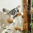 thumbnail image 4 of Cat Wall Furniture 11.8 Inch Cats Steps For Drywall Kitten Stairs For Wall Mounted With Jute Scratching Kittens Shelf 2 Of Pack, 4 of 9
