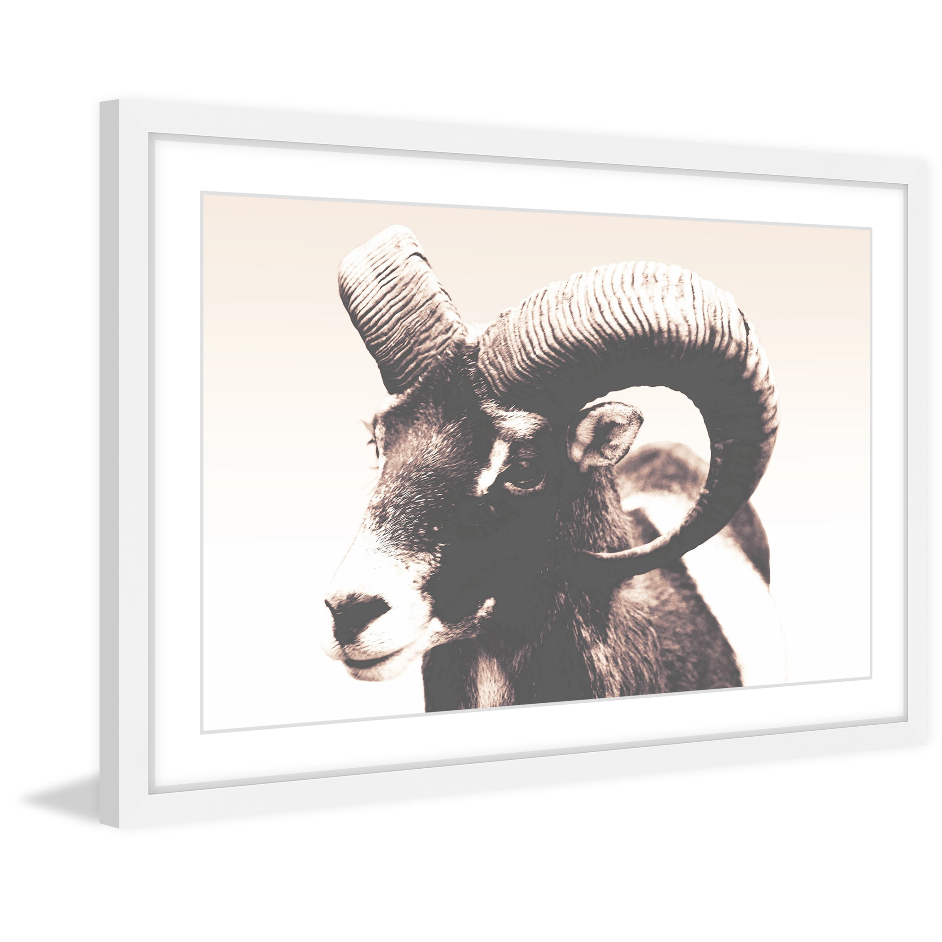 Marmont Hill "Eye of Ram" Framed Painting Print