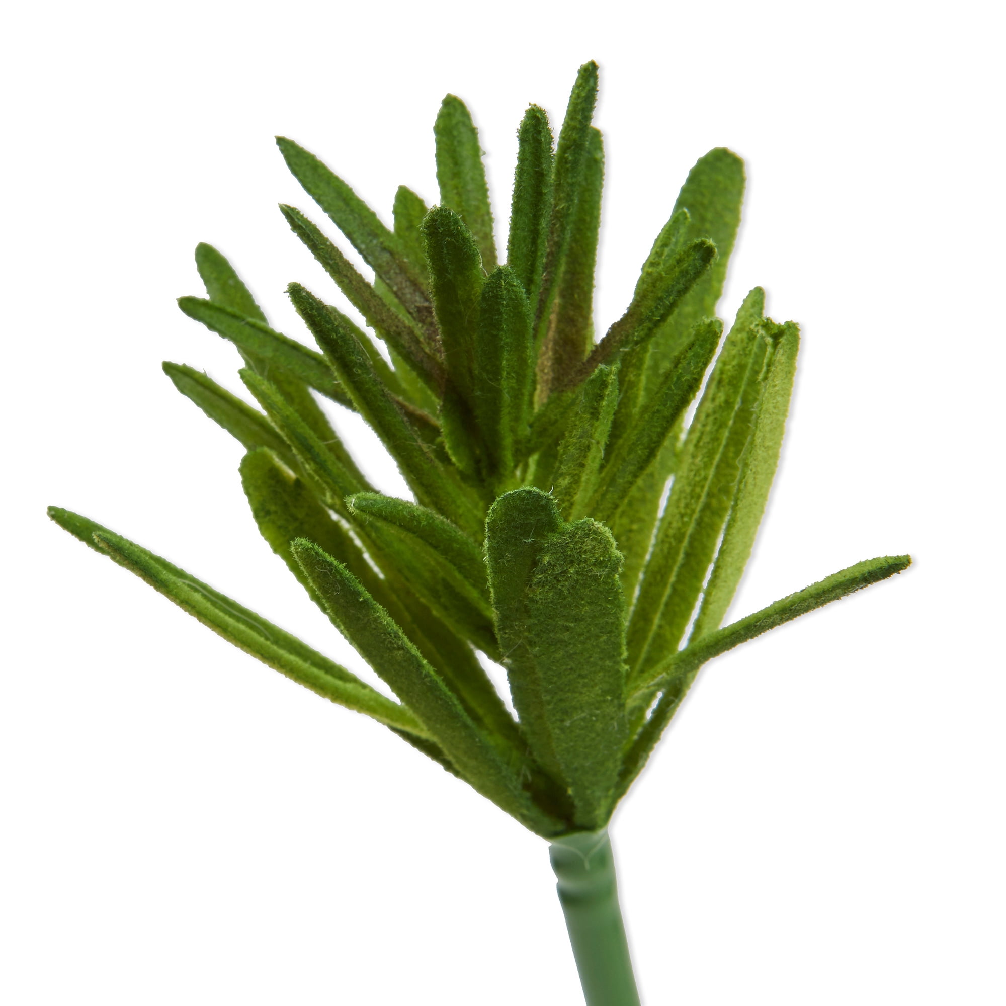 Mainstays Artificial Succulent Pick 2.5 inch x 6 inch Green With Spike Leaves
