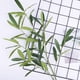 thumbnail image 3 of 5PCS-Simulación Rama de Olivo-Verde-90cm Zhivalor WRJM-457, 3 of 7