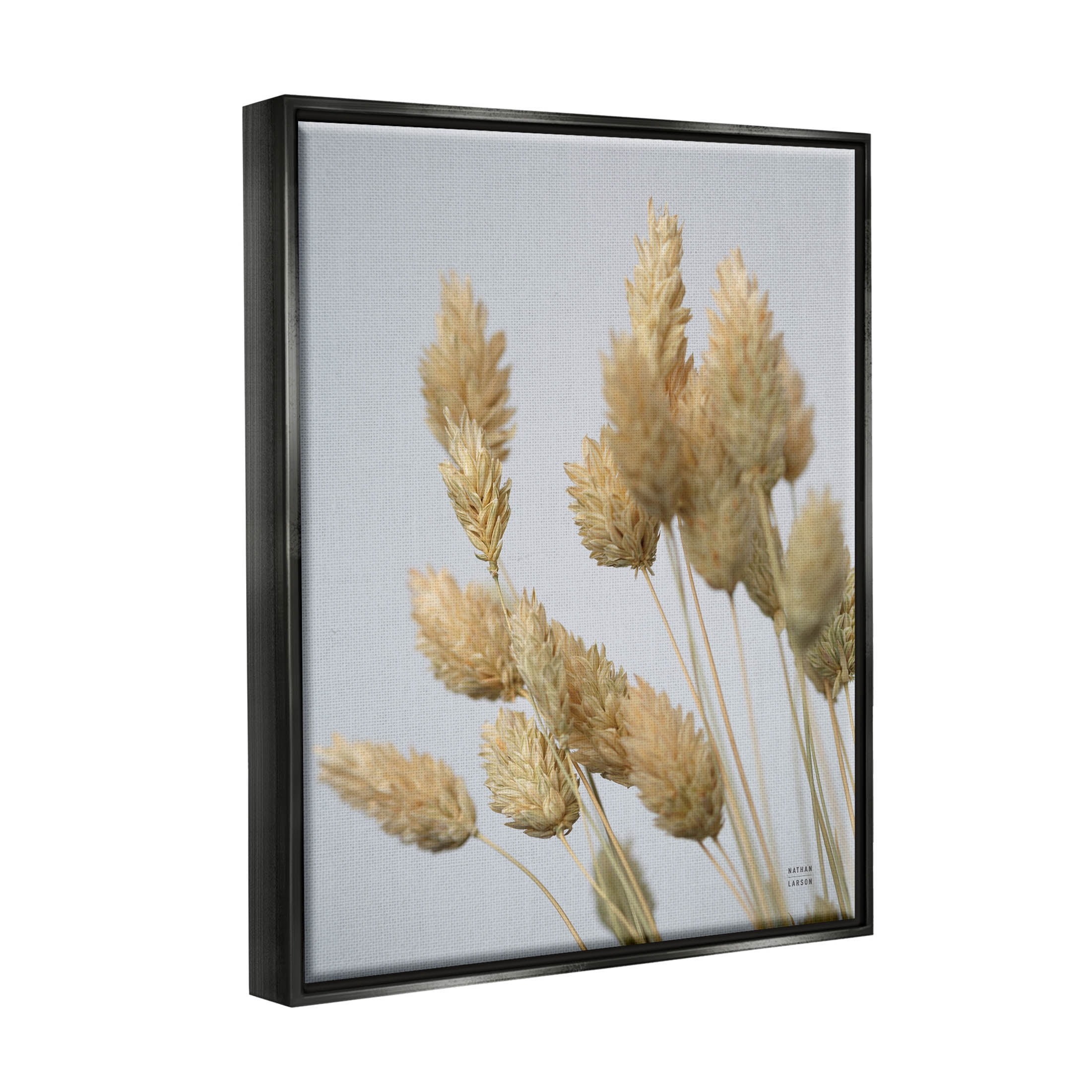 Stupell Industries Calm Pampas Grass Breezy Sky Photograph Jet Black Floating Framed Canvas Print Wall Art, Design by Nathan Larson