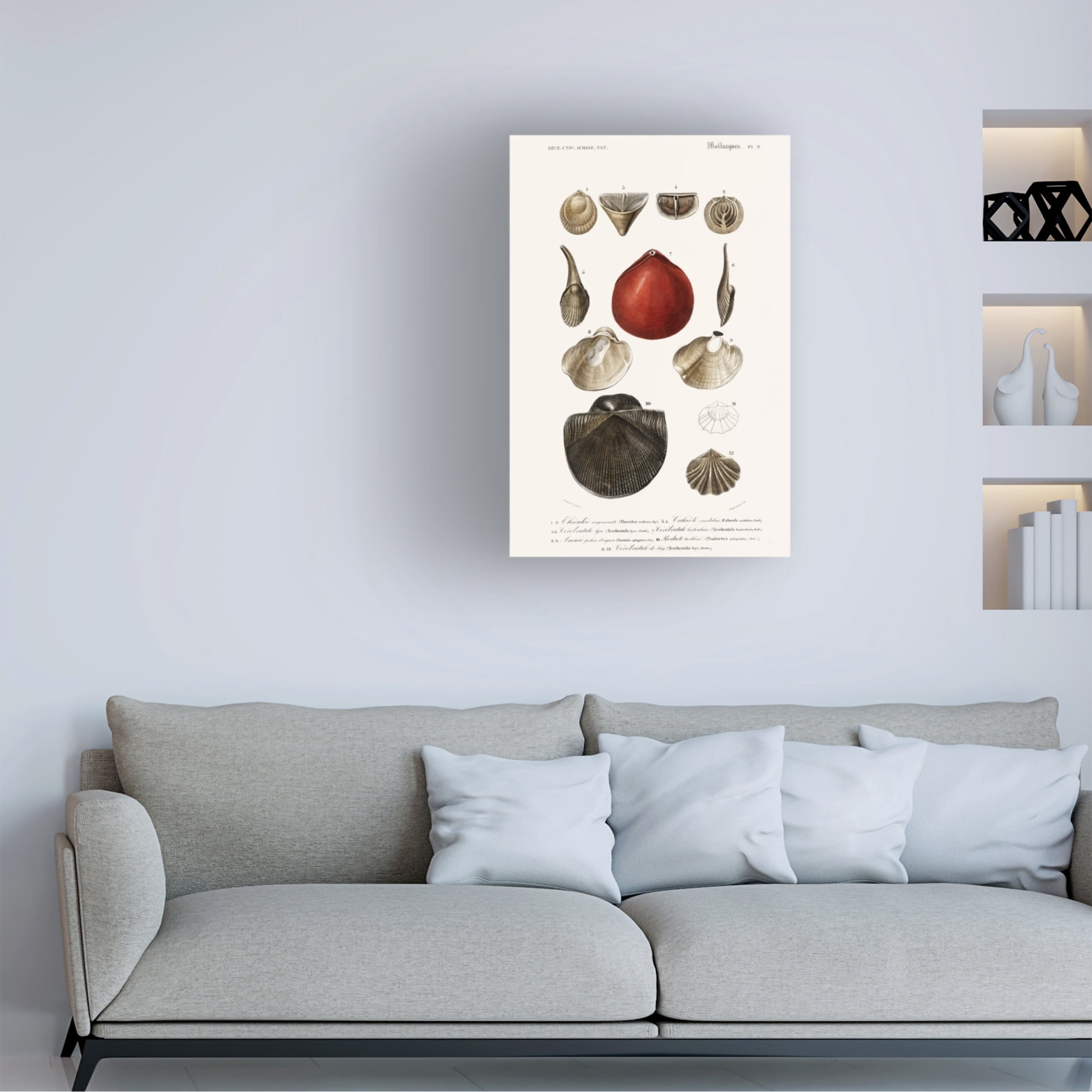 Trademark Fine Art M. Charles D'Orbigny  D'Orbigny Sealife I Canvas Wall Art